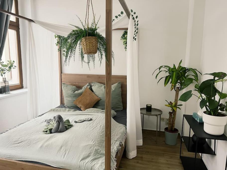 Pretty Home City Jungle 茨维考 外观 照片